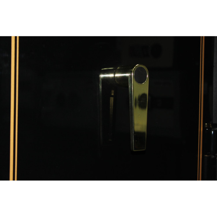 Сейф збройовий G.160.E GLOSS GOLD